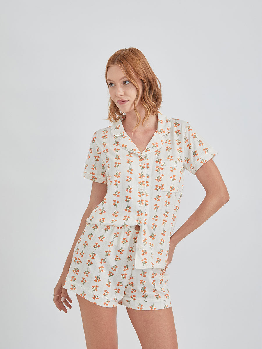 Sienna Sunset Flowers